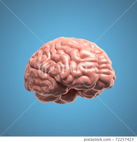 Human brain on blue background 3d illustration - Stock Illustration ...