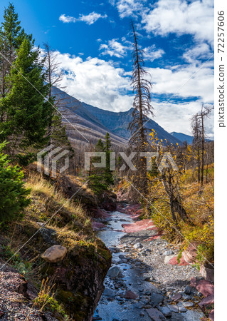 Red Rock Canyon in autumn foliage season morning. Blue sky, white clouds and mountains in the background. Waterton Lakes National Park, Alberta, Canada. 72257606