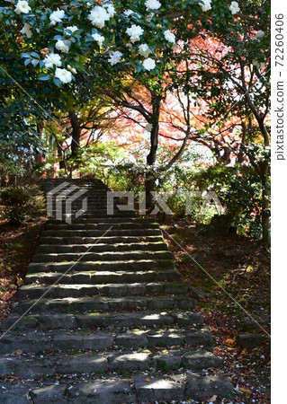 幸福村落在秋末 幸福村落在秋末 72260406