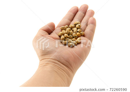 Bean confectionery 72260590