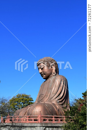 Burakuen Buddha and autumn leaves 72261177