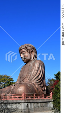 Burakuen Buddha and autumn leaves 72261180
