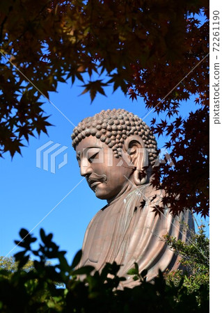 Burakuen佛和秋葉 Burakuen佛和秋葉 72261190