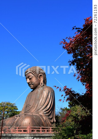 Burakuen佛和秋葉 Burakuen佛和秋葉 72261193
