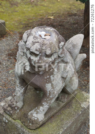 Kappa Buchi Jokenji Temple Kappa Buchi Jokenji Temple 72261276