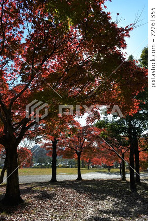 幸福村落在秋末 幸福村落在秋末 72261355