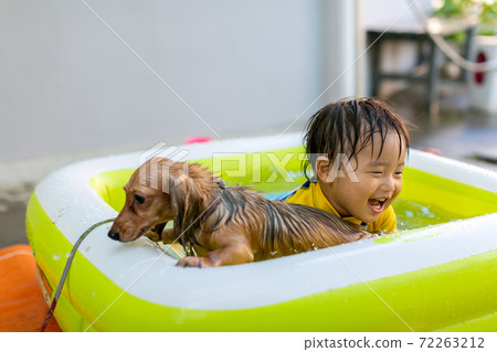 One frame of summer vacation, playing with your dog in the water One frame of summer vacation, playing with your dog in the water 72263212