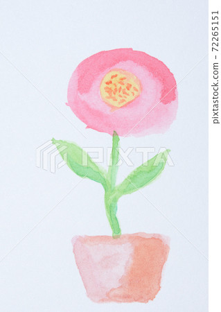 Potted pink flowers 72265151