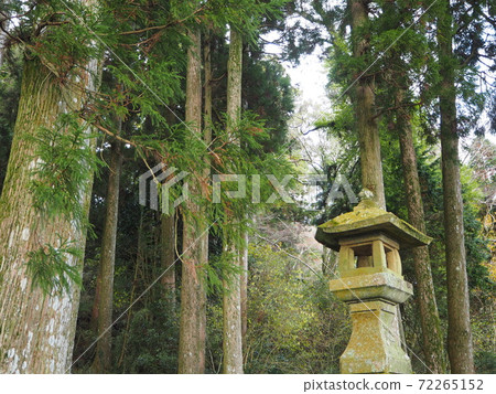 神社內部風景 神社內部風景 72265152