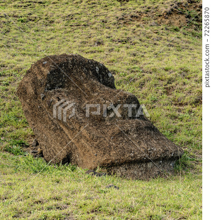 Moai Statues on Easter Island at the Rano Raraku Quarry 72265870