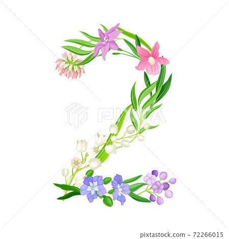 Floral Number with Decorative Nature Elements Vector Illustration Floral Number with Decorative Nature Elements Vector Illustration 72266015