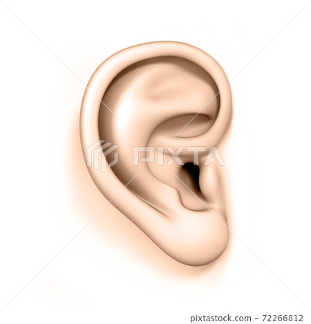 human ear isolated on a white background 72266812