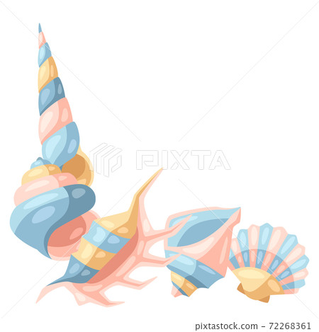 Corner with seashells. 72268361