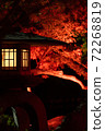 Happoen autumn leaves lit up 72268819