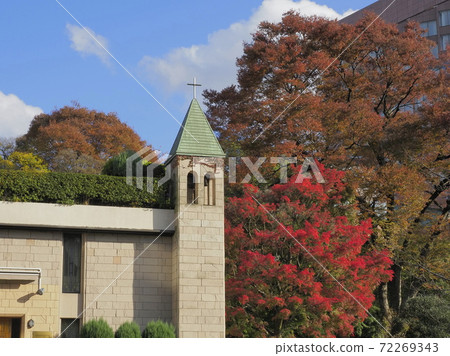 Hotel Chinzanso Tokyo Garden Hotel Chinzanso Tokyo Garden 72269343