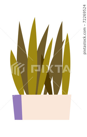 Potted plant icon, room decor element, cartoon 72269524