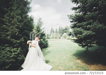 Beautiful brunette bride in elegant white dress holding bouquet posing neat trees Beautiful brunette bride in elegant white dress holding bouquet posing neat trees 72272515