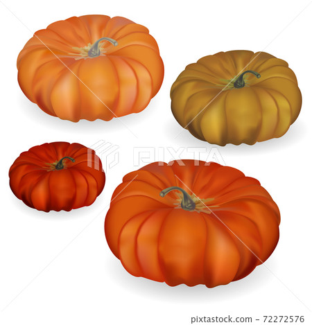 Autumn set with vector pumpkins. Colorful pumpkins of different shapes in a flat style isolated on a white background. Autumn set with vector pumpkins. Colorful pumpkins of different shapes in a flat style isolated on a white background. 72272576