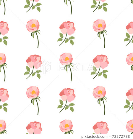 Seamless pattern with pink rose and peony on white background. 72272788