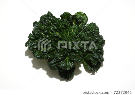 Tarsai on white background Tarsai on white background 72272945