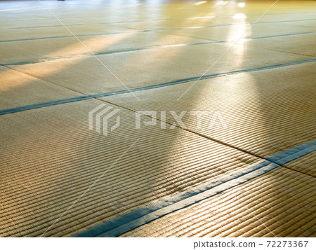 Tatami room where the sun shines 72273367
