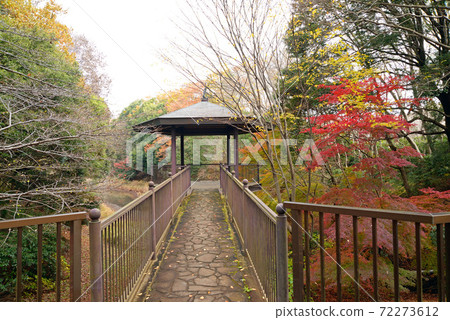 千葉縣船橋市小室公園，秋天的落葉 72273612