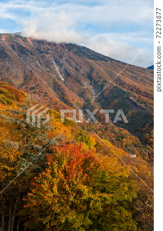 [Autumn leaves of Mt. Nantai from Akechidaira] 72273877
