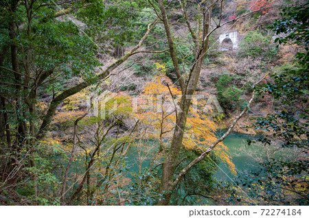 奧多摩風雲的秋葉風光 72274184
