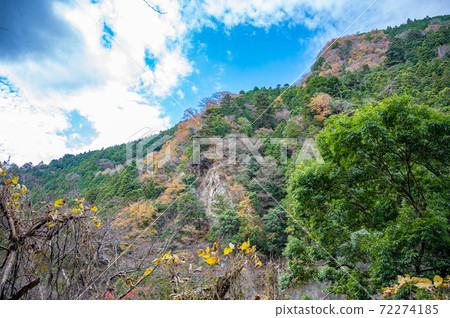 奧多摩風雲的秋葉風光 72274185