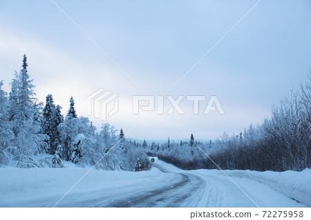 Snowy road surrounded by pine trees 72275958
