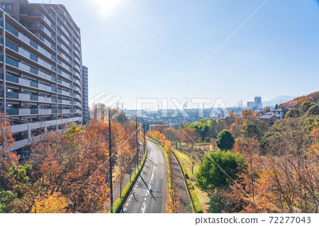東京町田市 一個不錯的生活環境 秋天可以從大山田tab自然公園眺望相模原市 照片素材 圖片 圖庫