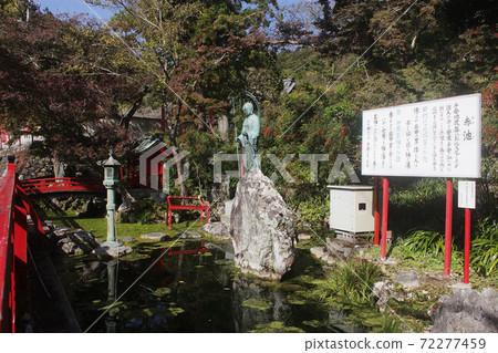 濱ak,濱松市,龍山,岩水寺,赤池次生 濱ak,濱松市,龍山,岩水寺,赤池次生 72277459