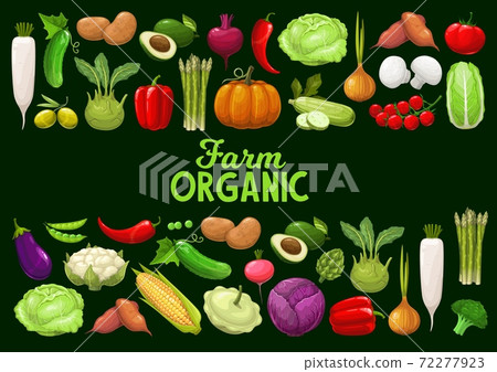 Vegetables, organic farm vector veggies, greenery - Stock Illustration ...