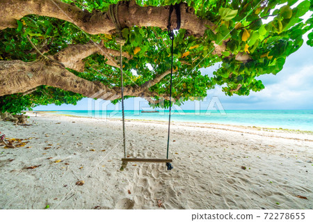 Star sand coast Star sand coast 72278655