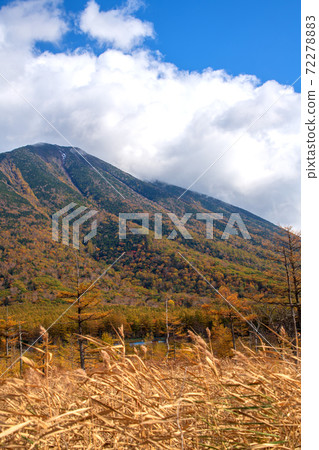 日光國道120號，戰場加原，音山，秋天的落葉，秋天的景色 72278883