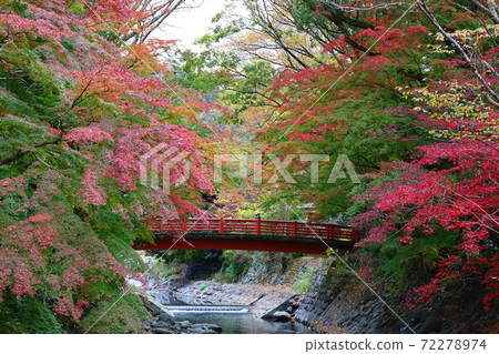 Katsura Bridge and autumn leaves in Shuzenji Onsen town Katsura Bridge and autumn leaves in Shuzenji Onsen town 72278974