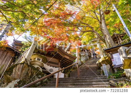 Torii and stone steps in the middle of Tarobogu, Higashiomi City, Shiga Prefecture Torii and stone steps in the middle of Tarobogu, Higashiomi City, Shiga Prefecture 72281288