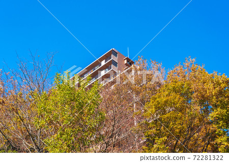 秋葉公寓環境形象 72281322