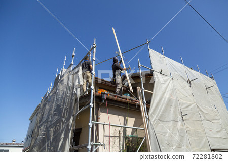 Housing scaffold 72281802