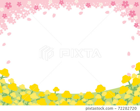 可愛的櫻花和油菜開花的春天框架 72282720