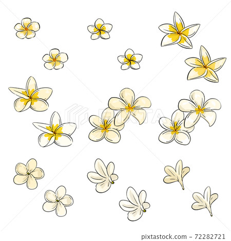 素馨花圖圖標集，線條畫，透明 72282721