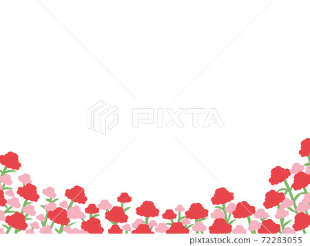 Carnation flower field frame 72283055