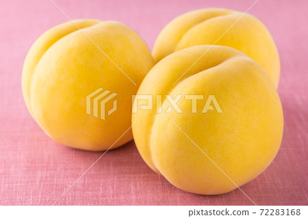 金桃 金桃 72283168