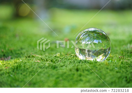Lens ball in the moss garden that receives sunlight through the trees Lens ball in the moss garden that receives sunlight through the trees 72283218