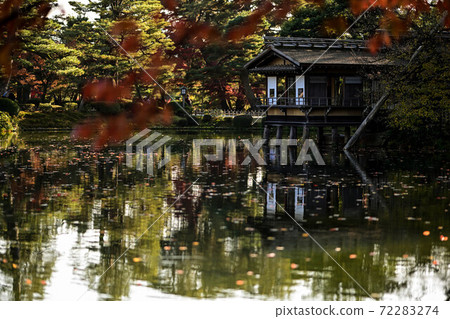 Bright autumn leaves of Kenrokuen Bright autumn leaves of Kenrokuen 72283274
