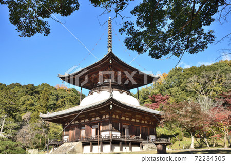 Neonji-ji Tower Neonji-ji Tower 72284505