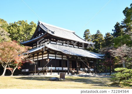 Negoroji Great Denton Negoroji Great Denton 72284564