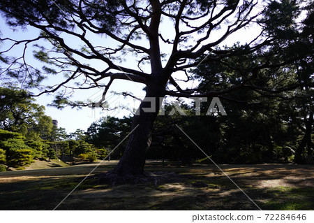 Kuribayashi Park 72284646