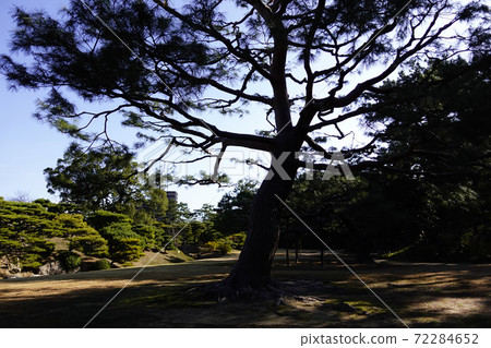 Kuribayashi公園 72284652