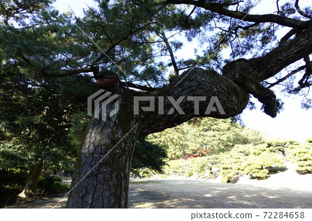 Kuribayashi公園 72284658